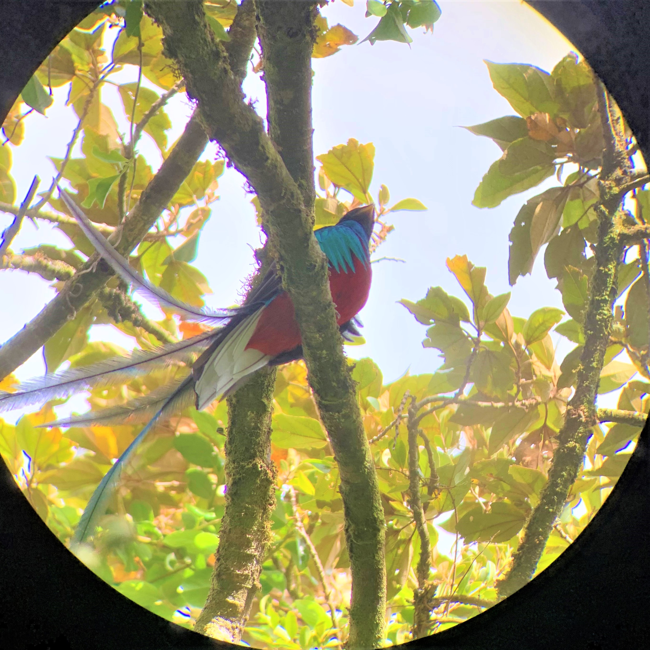 Costa Rica
